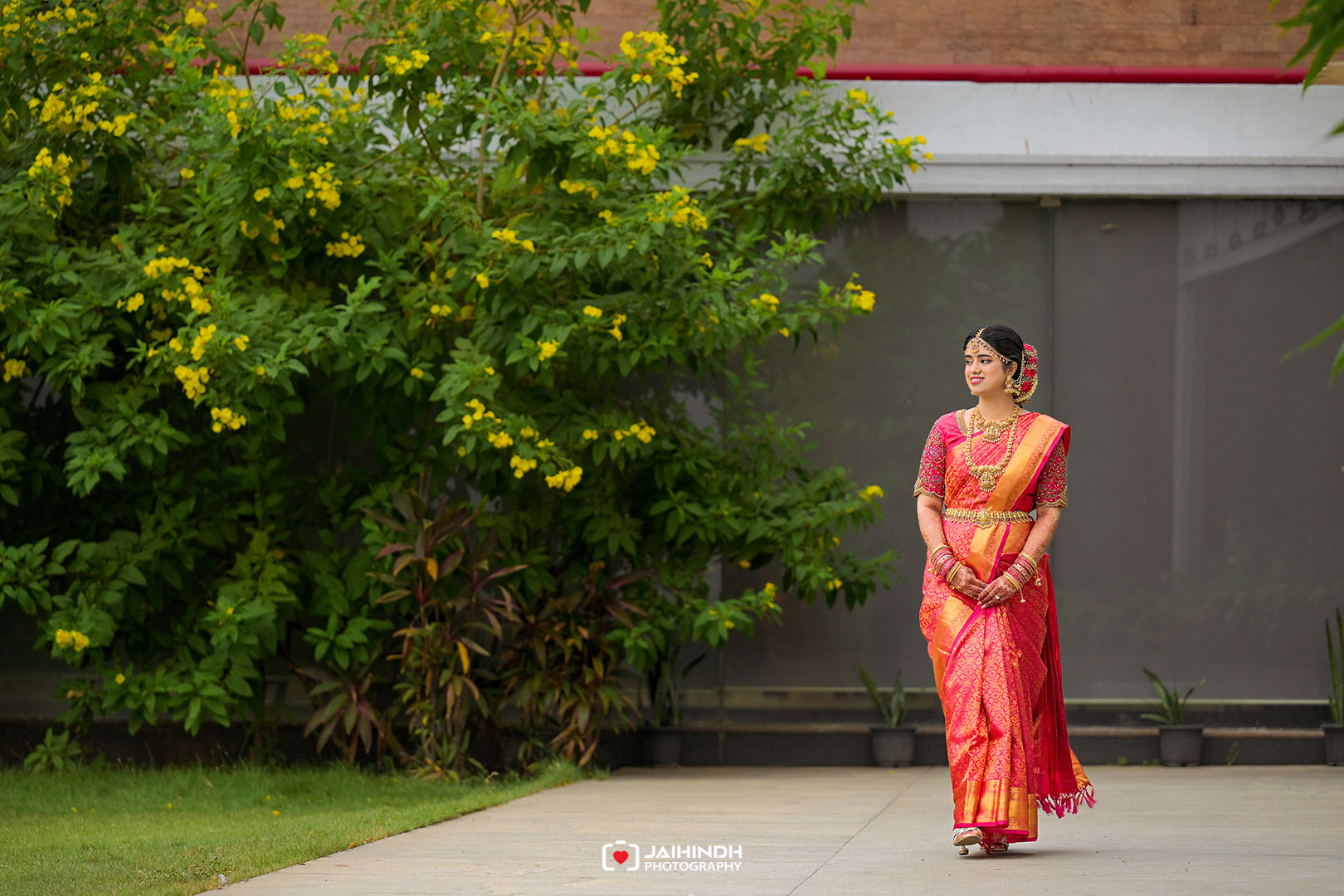 Woman in a bright pink saree with gold jewelry stands on a walkway beside a yellow-flowering shrub.