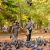 Couple in black-and-white polka dot outfits holding hands while pigeons gather on a dirt path in a park with green trees in the background.